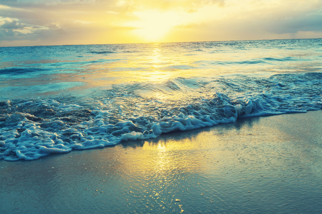 Laura Casetta (5) Fiducia speranza